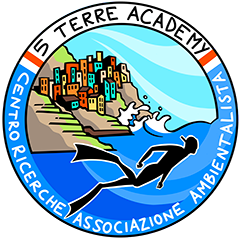 5 Terre Academy